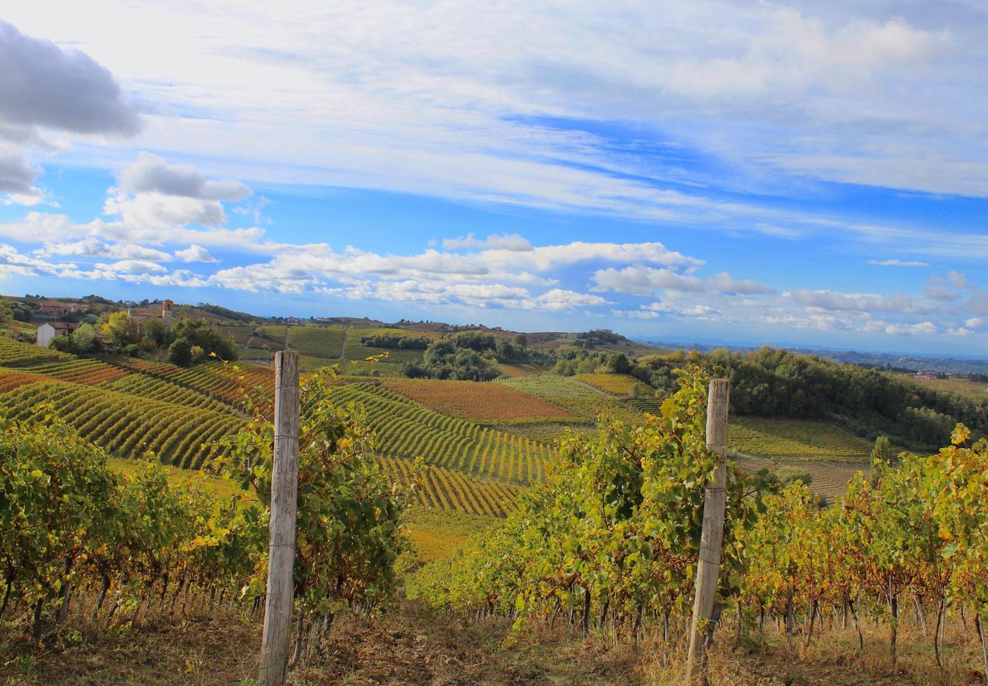 Amazing Langhe And Monferrato | House With Garden Βίλα Calamandrana Εξωτερικό φωτογραφία